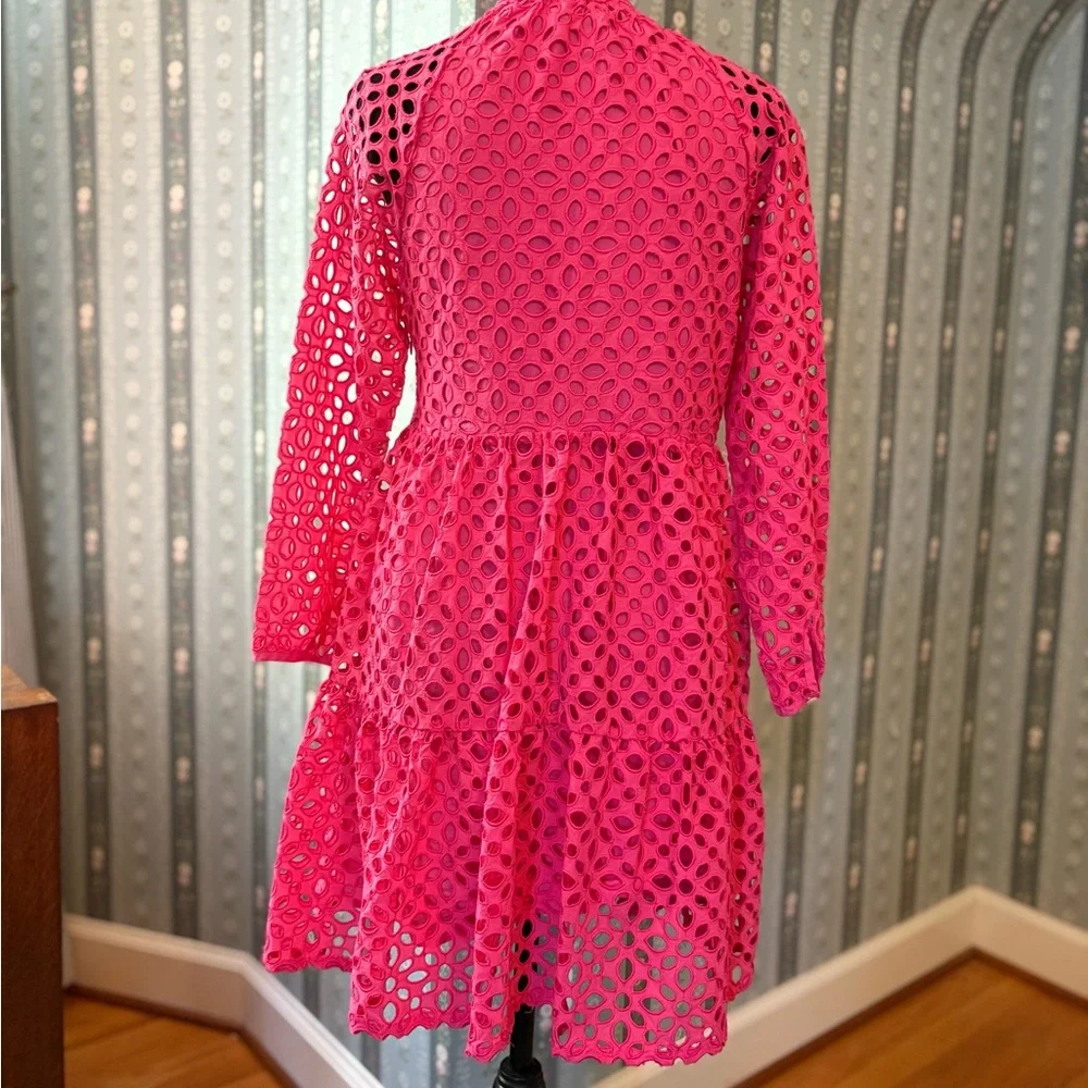 J. Crew Rebecca Pink Eyelet Dress
